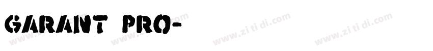 Garant Pro字体转换